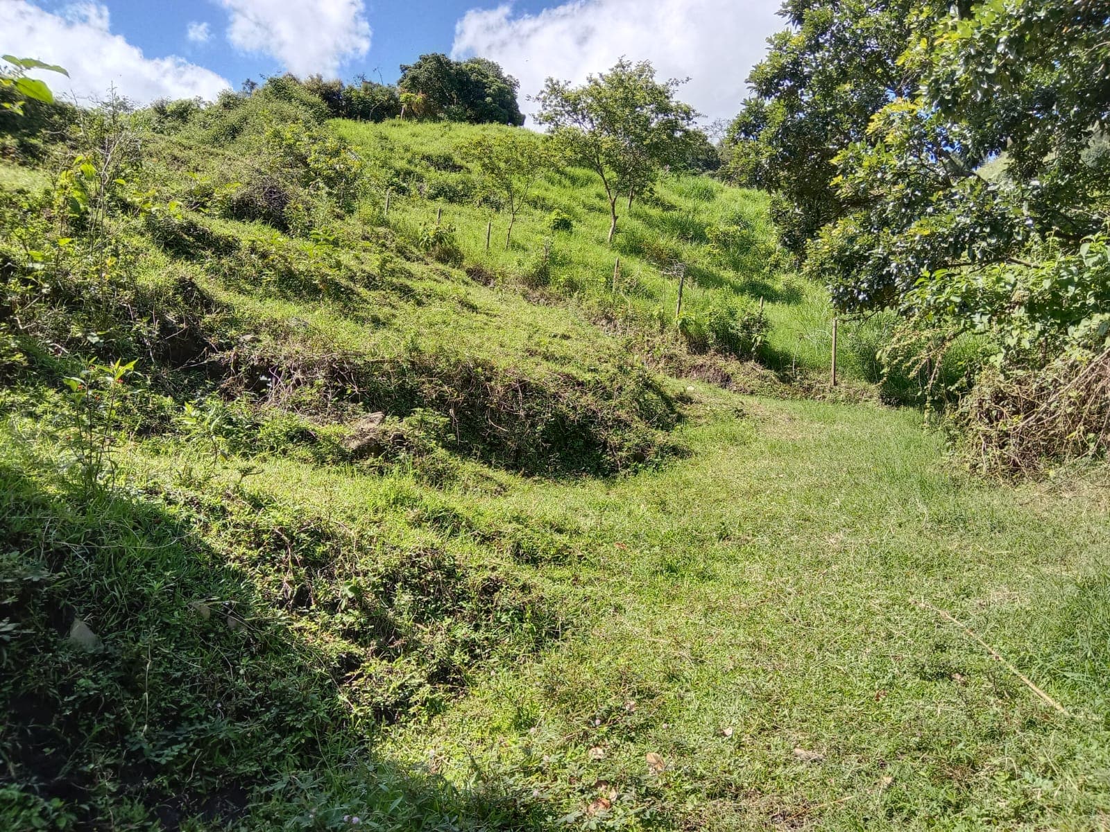 LOTE EN VENTA SECTOR TOTUMO GIRARDOTA
