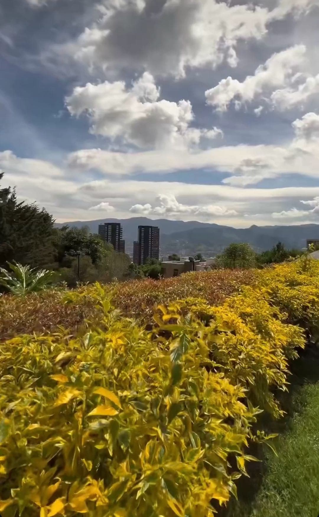 Casa 🏠 con piscina y cancha en el Poblado 10500 millones
