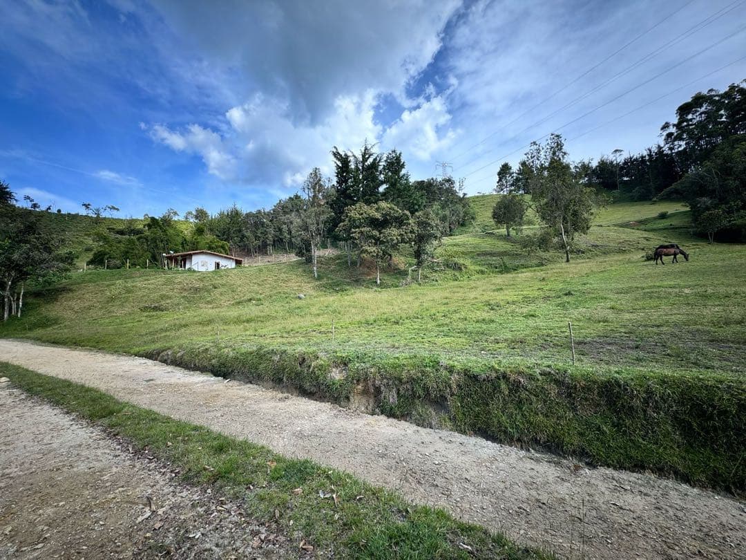 Lote en El Retiro 5065 metros 470 millones