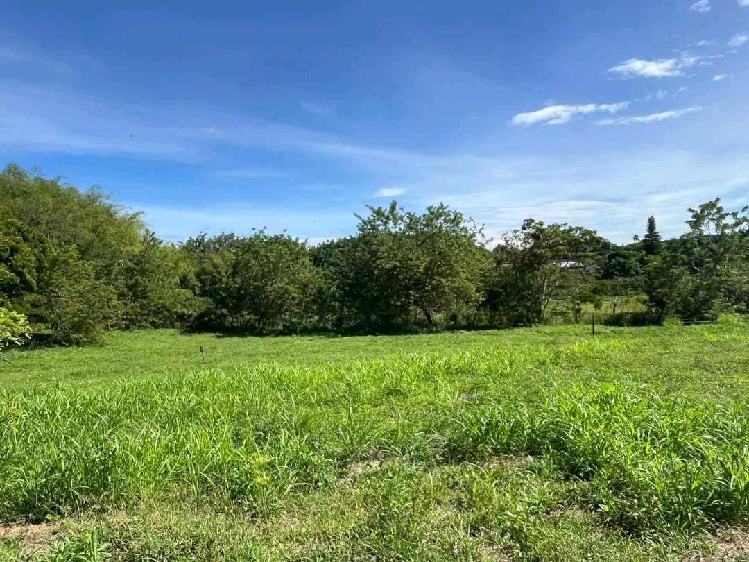 SE VENDE LOTE EN JARDIN DE CASTILLA ( CERRITOS)