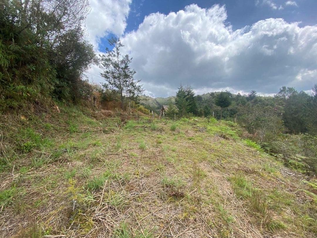 Vendo Lote En San Vicente De Ferrer Antioquia $268M 🌄🪴